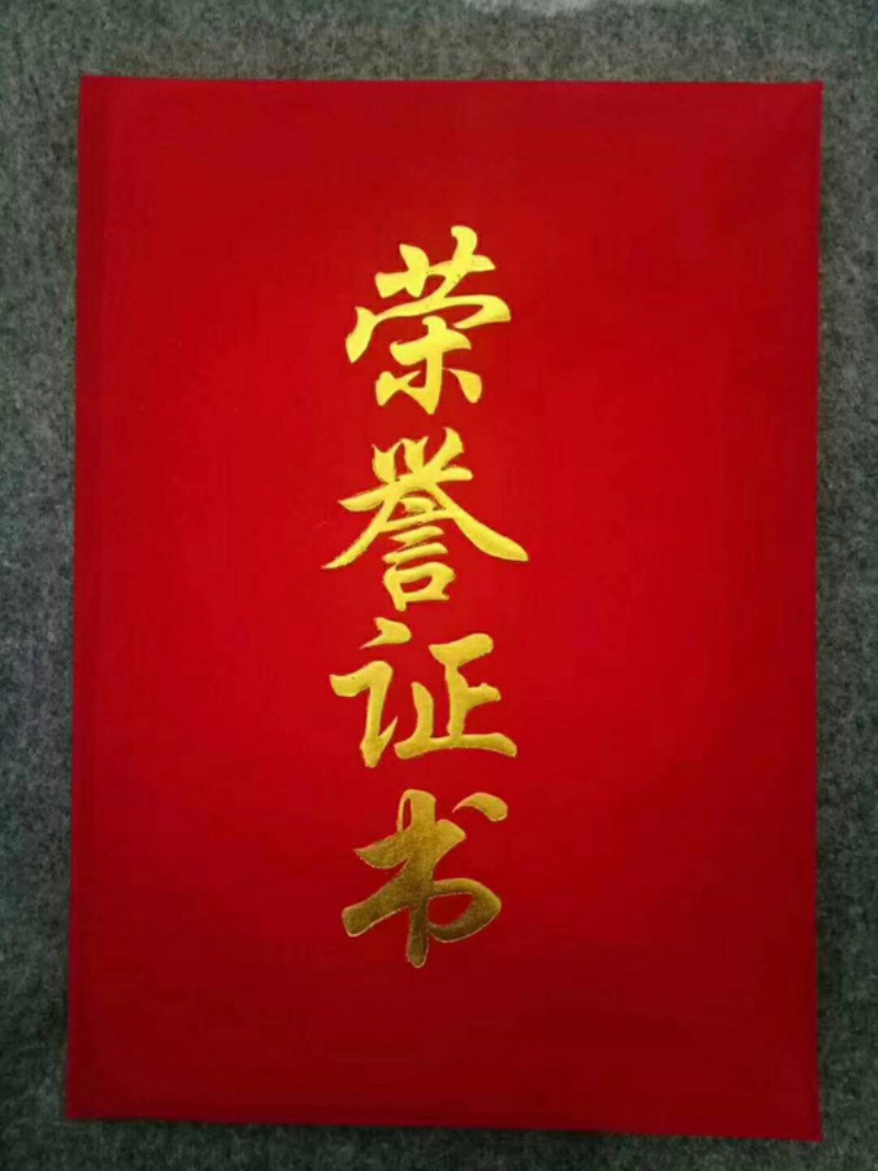 榮譽(yù)證書1.jpg